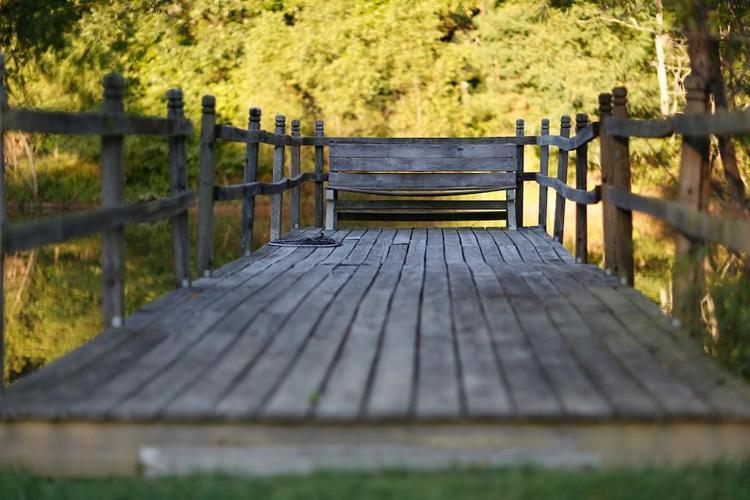 Meadow View Farm Bed & Breakfast Hernando Esterno foto